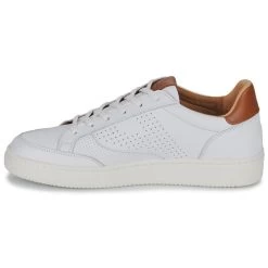 Pataugas - BASALT/VTG H2H -Pataugas 24343363 500 D